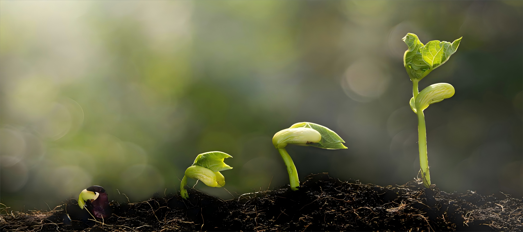 幻灯片1