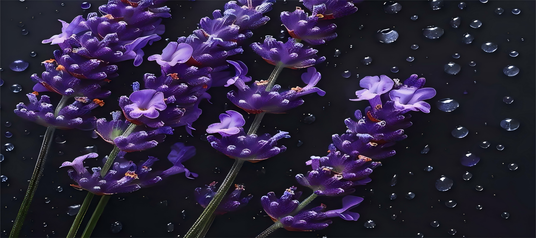 幻灯片1